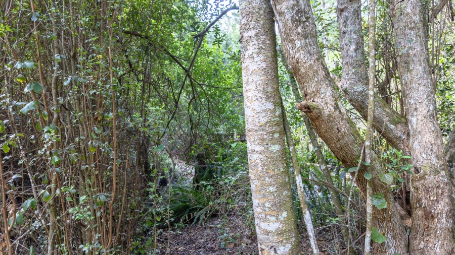 Commercial Property for Sale in Sedgefield Rural Western Cape